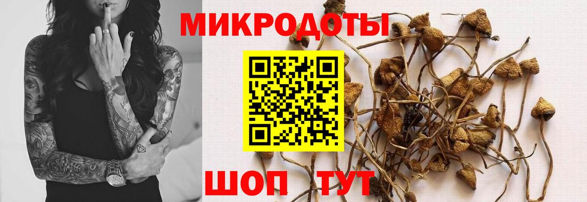 Псилоцибиновые грибы Psilocybine cubensis Корсаков