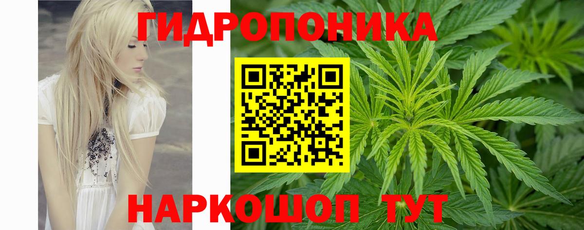 Бошки марихуана индика  Вход с VPN  Корсаков  Бошки Шишки Amnesia  Бошки марихуана OG Kush  Шишки марихуана тримм 